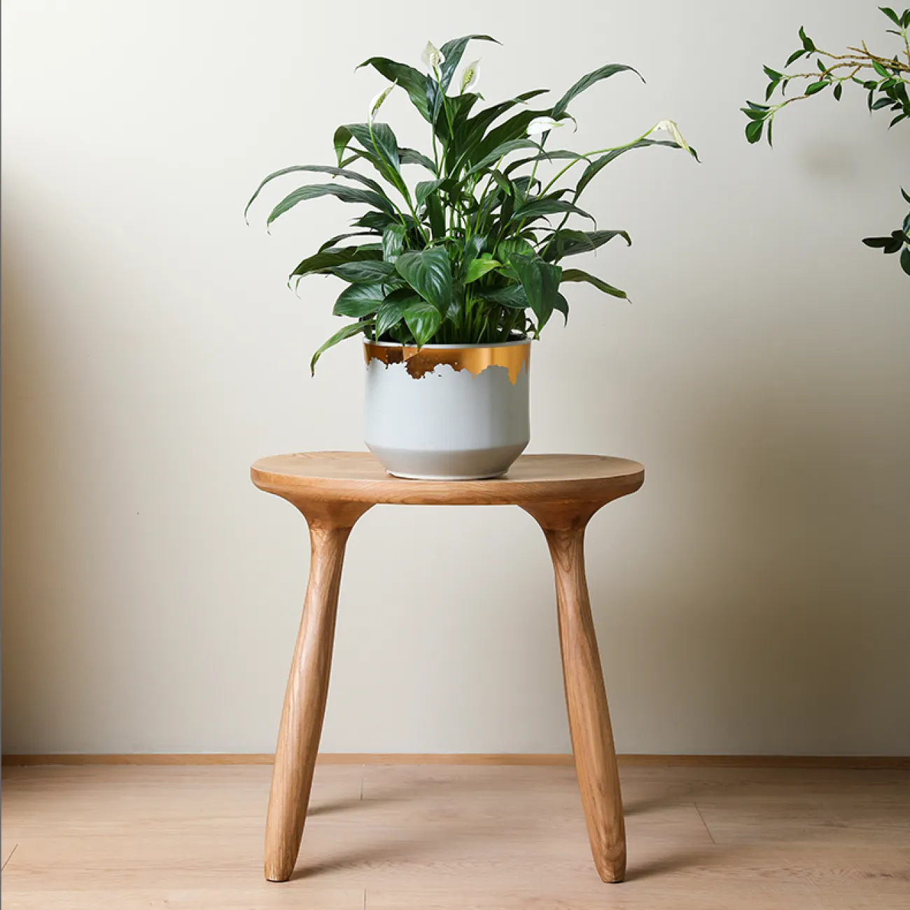 Элегантный табурет Minicum из дерева ясеня TB39556-32
