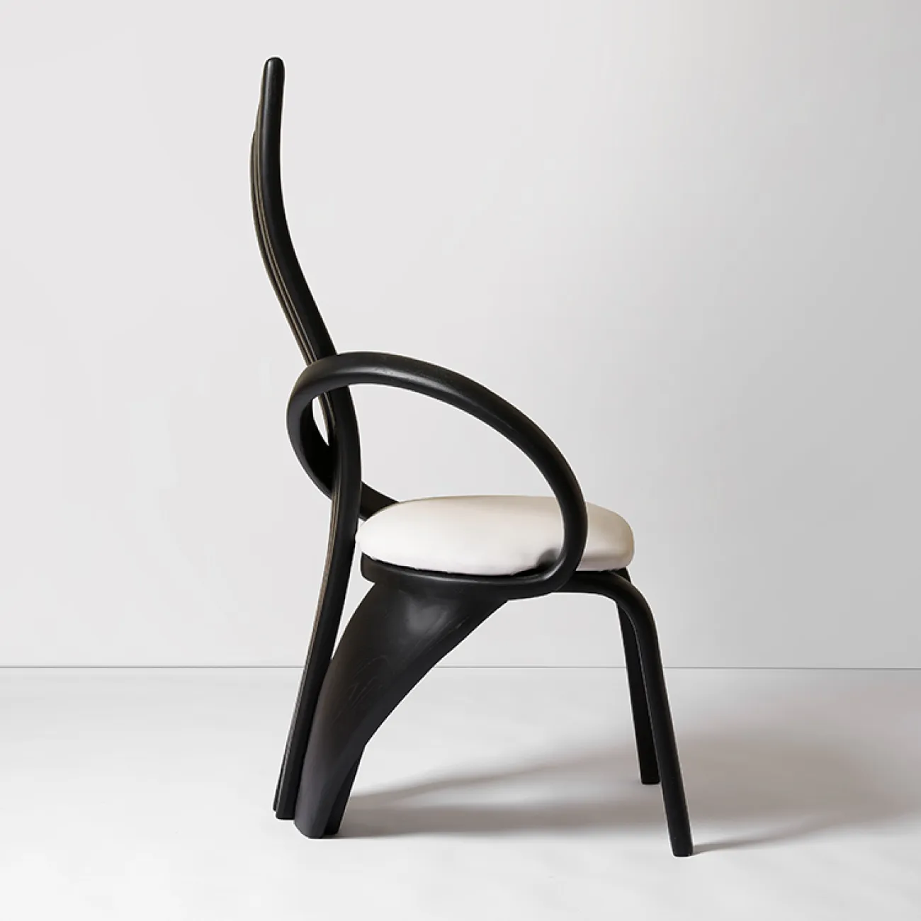 Элегантный обеденный стул Minicum из дерева и кожи OS39565-32