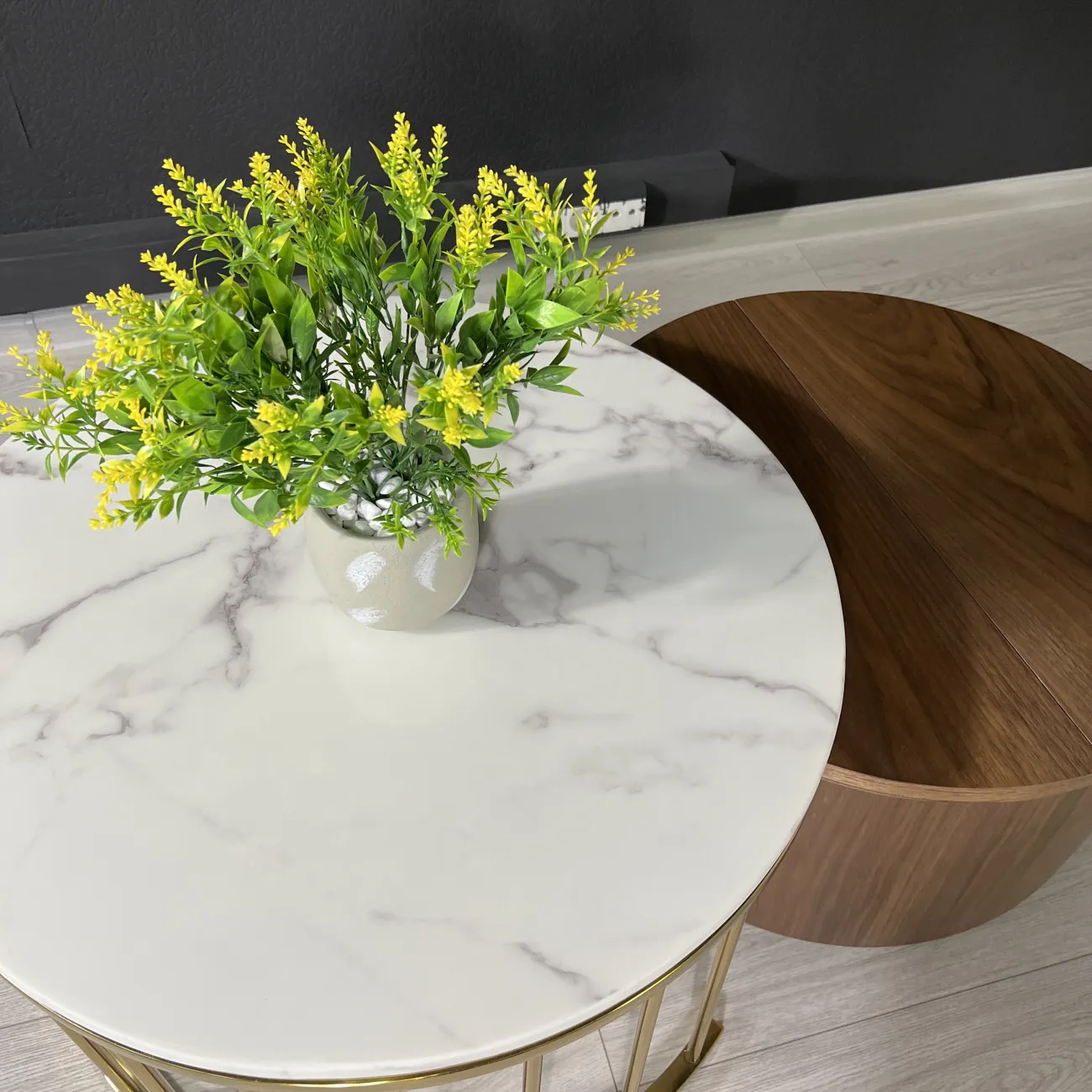 Дизайнерский журнальный столик LaLume-AP00215 Дизайнерский журнальный столик LaLume-AP00215