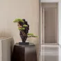Статуэтка в виде скалы и листвой для гостиной LaLume DK21076-23