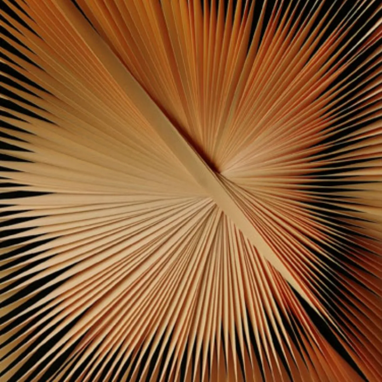 Настенный декор с узором для гостинной LaLume DK20955-23