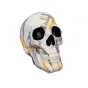 Оригинальная статуэтка в виде черепа LaLume DK21032-23