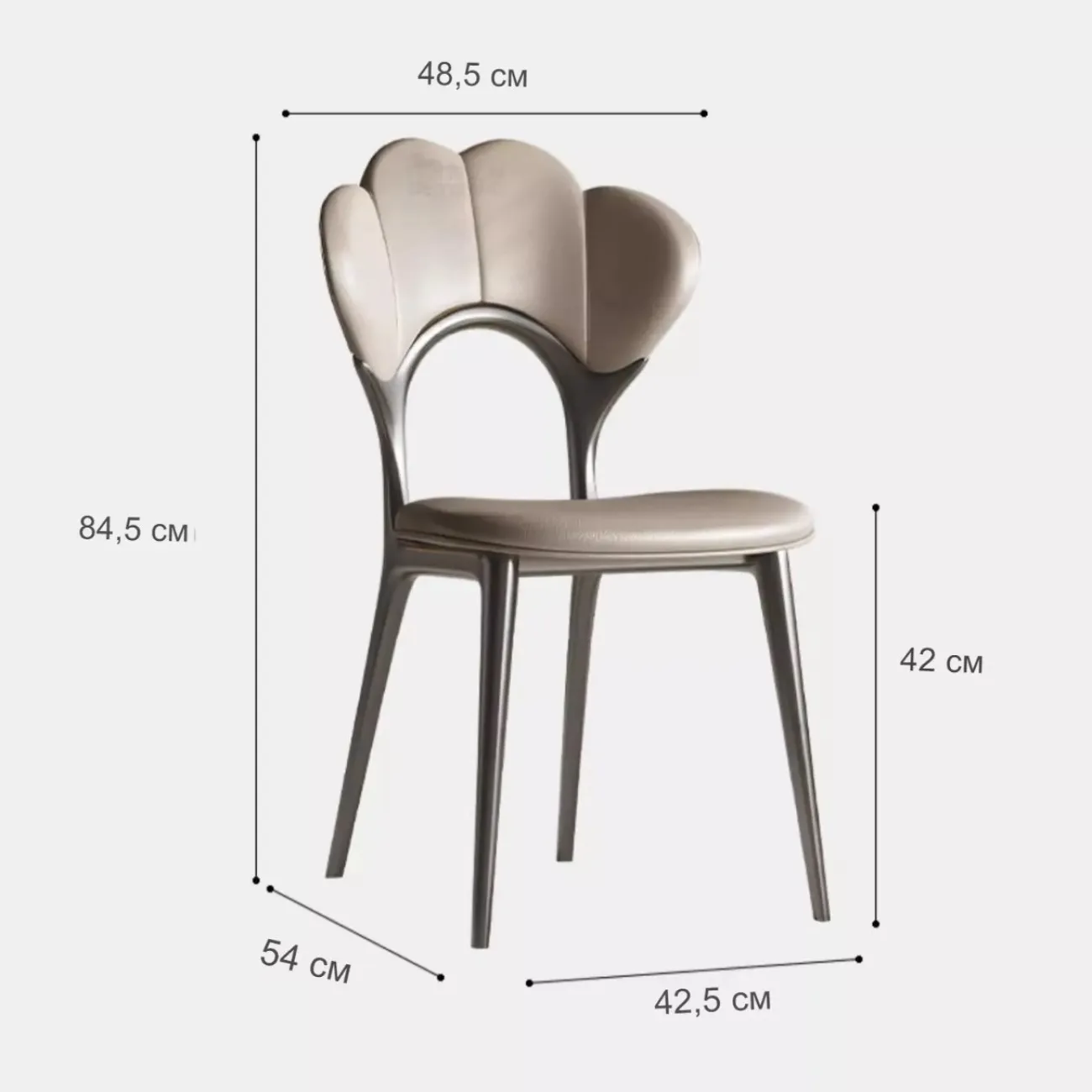 Кожаный обеденный стул BANG 36498-29