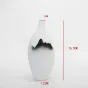 Минималистичная керамическая ваза для гостиной в Современном стиле LaLume DK20561-23