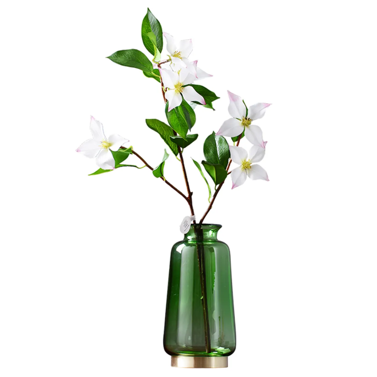 Настольная стеклянная ваза для гостиной в Скандинавском стиле LaLume DK20590-23