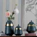 Современная керамический ваза LaLume DK20596-23