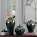 Современная керамический ваза LaLume DK20596-23