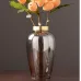 Скандинавская стеклянная прозрачная ваза Amilia