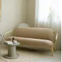 Современный диван для гостиной LaLume AR21225-23