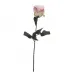 Роза нежно-розовая 8J-1211S0003