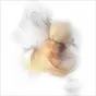 Постер  Лик нежности  54STR-AQUARELLE5 от LaLume
