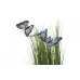 Стебли травы с голубыми бабочками 8J-14AK0041