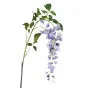 Глициния сиреневая 9F27434-2088 от LaLume