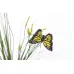 Стебли травы с бабочками (желтые) 8J-15AB0003