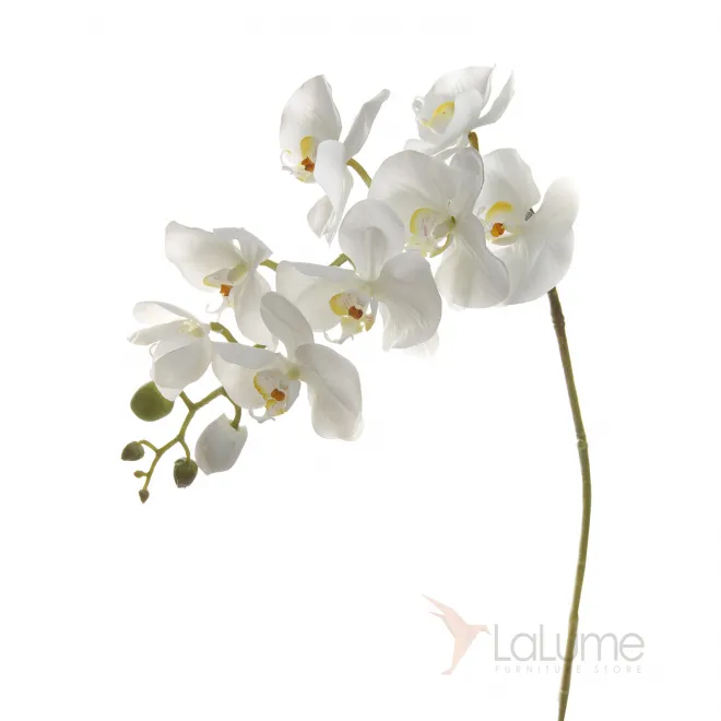 Орхидея белая 7A03N00011