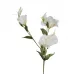 Лизиантус белый искусственный 9F27051-1499