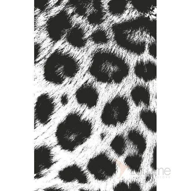 Постер  Леопард  54STR-LEO