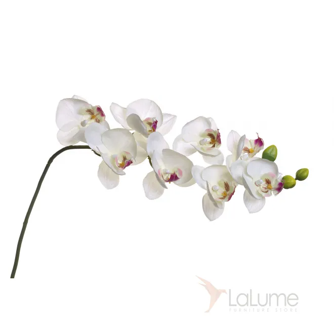 Орхидея белая 8J-1219S0003