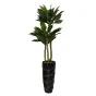 Папоротник гнездовой в горшке Garda Decor 29BJ-934 от LaLume