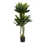 Папоротник гнездовой в горшке Garda Decor 29BJ-934 от LaLume
