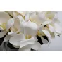 Диффузор Garda Decor 96CN-RG0005 от LaLume