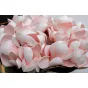 Диффузор Garda Decor 96CN-RG0002 от LaLume