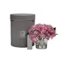 Диффузор Garda Decor 96CN-RB0040 от LaLume