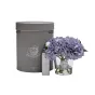 Диффузор Garda Decor 96CN-RB0050 от LaLume