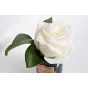 Диффузор Роза белая, спрей Старинная роза GardaDecor 96CN-RB41 от LaLume