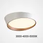 Потолочный светильник TORONTO D40 White Трехцветный свет от ImperiumLoft