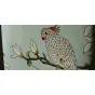 Чайнай ваза Parrot от LaLume