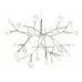 Люстра Moooi Heracleum Small