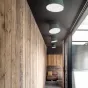 Потолочный светильник KNAP D25 Pink от ImperiumLoft