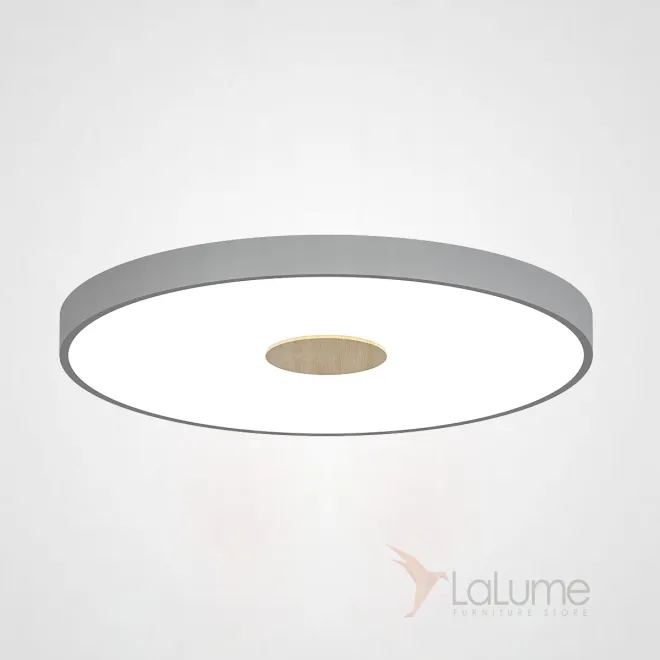 Потолочный светильник CENTRUM D40 Grey от ImperiumLoft