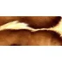 Натуральная шкура антилопы Gemsbok от LaLume