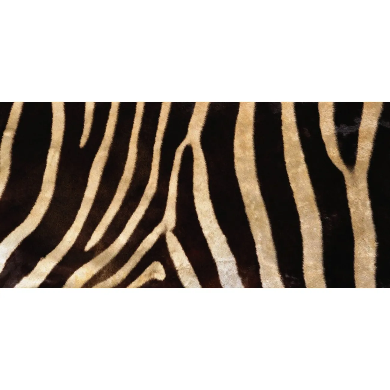 Натуральная шкура зебры Burchellii от LaLume