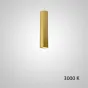 Точечный светильник PAN H20 Gold 3000 К от ImperiumLoft