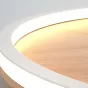 Потолочный светильник DOLAN D30 Трехцветный свет от ImperiumLoft