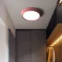 Потолочный светильник POND D24 Pink от ImperiumLoft