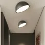 Потолочный светильник SELDEN D20 Black от ImperiumLoft