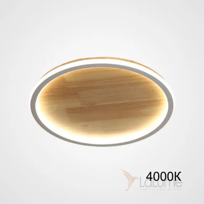 Потолочный светильник DOLAN D30 4000К от ImperiumLoft