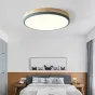 Потолочный светильник DISC DH D48 Green от ImperiumLoft