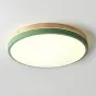 Потолочный светильник DISC DH D48 Green от ImperiumLoft