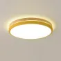Потолочный светильник DISC DH D48 Green от ImperiumLoft