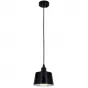Подвесной светильник Compact Pendant Black от LaLume