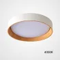 Потолочный светильник WENNY D35 4000К от ImperiumLoft