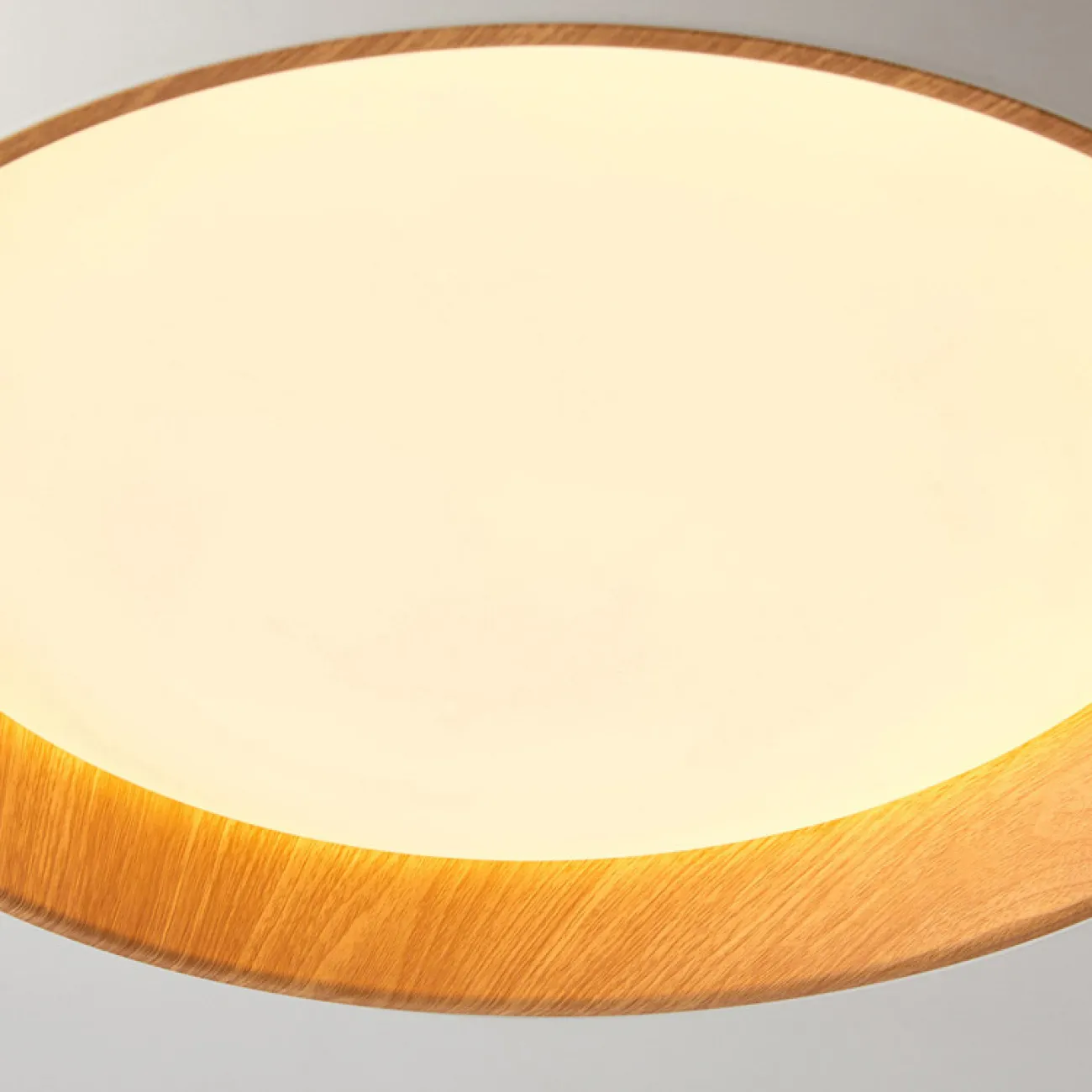 Потолочный светильник WENNY D35 4000К от ImperiumLoft Потолочный светильник WENNY D35 4000К от ImperiumLoft