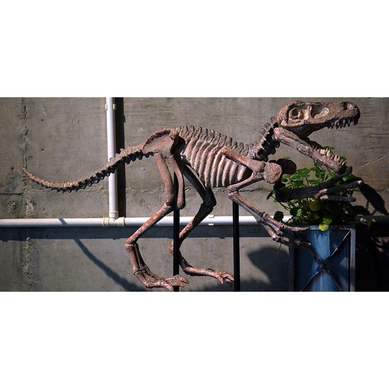 Статуэтка Skeleton от LaLume