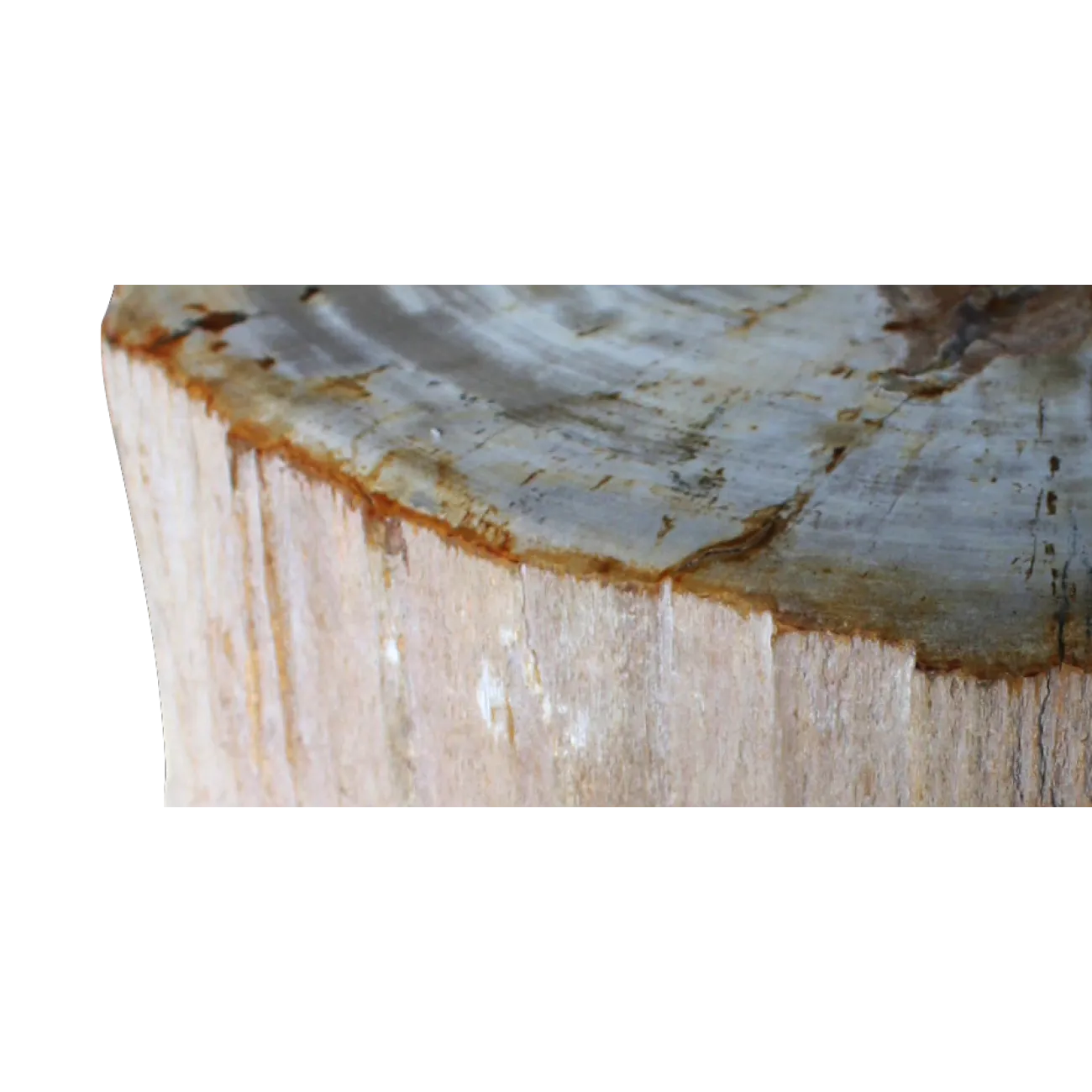 Стул из окаменелого дерева SW1 от LaLume