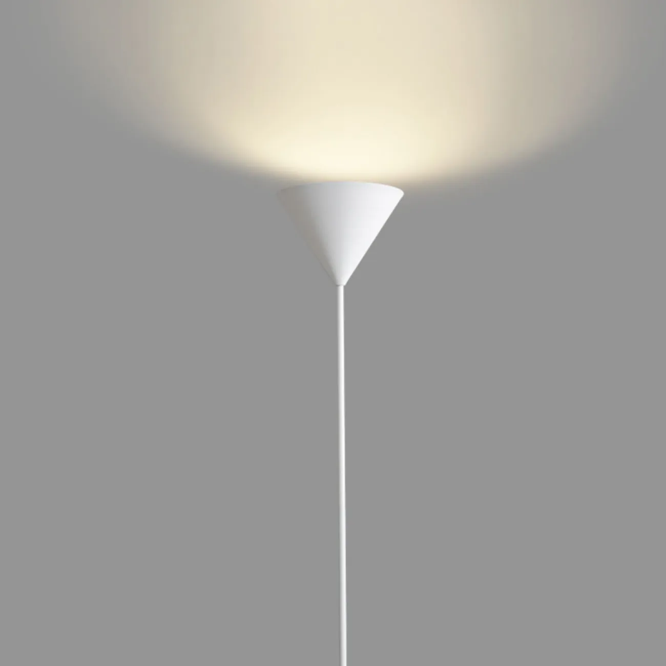 Серия напольных светильников с металлическим плафоном форме перевернутого конуса FELIX Black